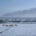 Leśna Przystań - Obok Gdyni I Aquaparku Reda * Rumia