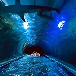 Διαμέρισμα Lesna Przystan - Obok Gdyni I Aquaparku Reda *