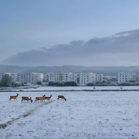 Lesna Przystan - Obok Gdyni I Aquaparku Reda * Rumia