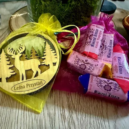 Apartment Lesna Przystan - Obok Gdyni I Aquaparku Reda *