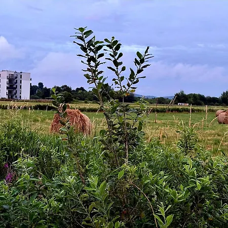 Lesna Przystan - Obok Gdyni I Aquaparku Reda Apartman Rumia
