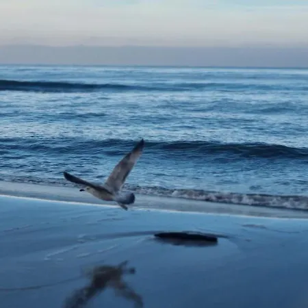 Leśna Przystań - Obok Gdyni I Aquaparku Reda *