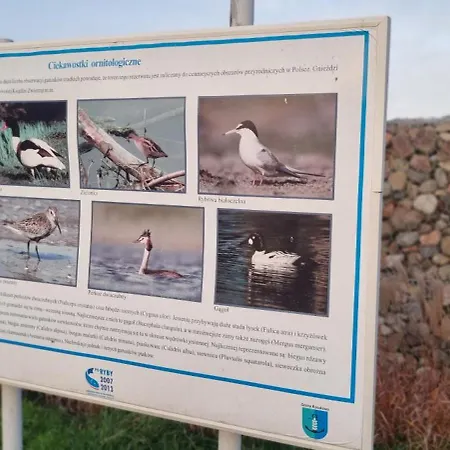 Lesna Przystan - Obok Gdyni I Aquaparku Reda