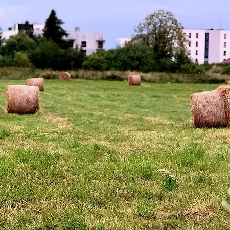 Lesna Przystan - Obok Gdyni I Aquaparku Reda * Rahmel