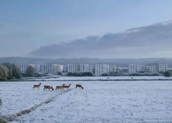 Leśna Przystań - Obok Gdyni I Aquaparku Reda * Rumia