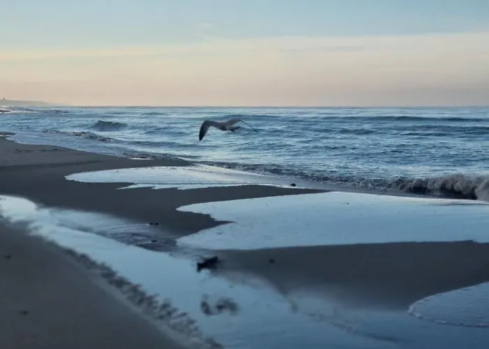 Leśna Przystań - Obok Gdyni I Aquaparku Reda * Rumia