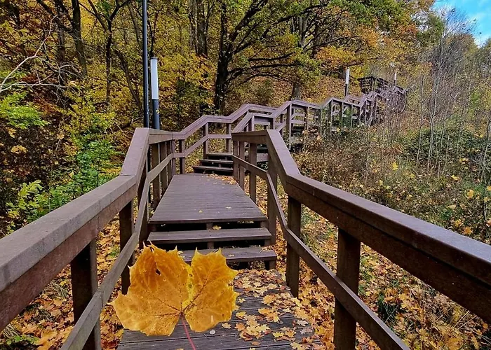 Lesna Przystan - Obok Gdyni I Aquaparku Reda Apartment *