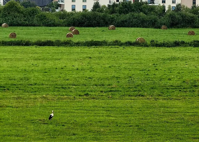 Lesna Przystan - Obok Gdyni I Aquaparku Reda Rahmel