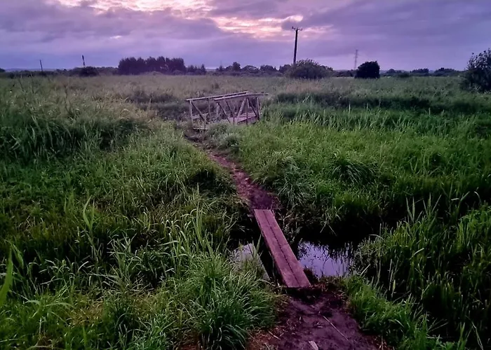 Apartament Leśna Przystań - Obok Gdyni I Aquaparku Reda Rumia