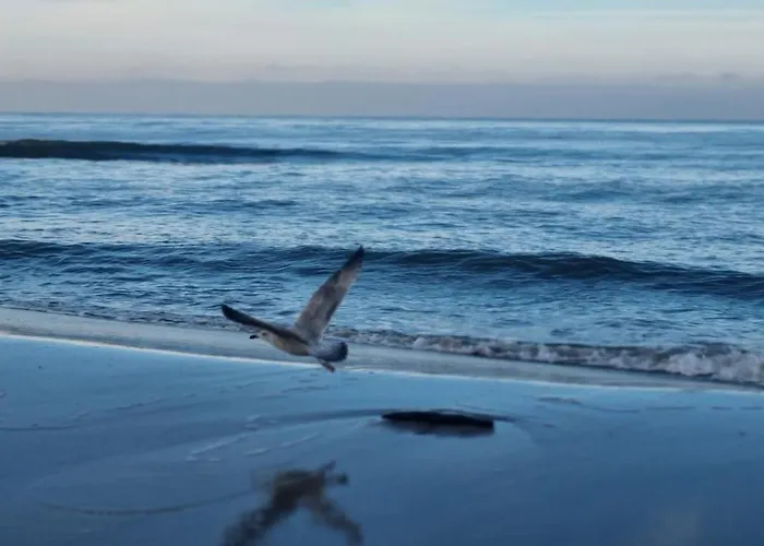 Lesna Przystan - Obok Gdyni I Aquaparku Reda *