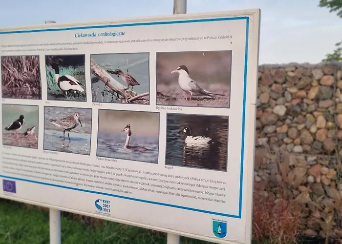 Lesna Przystan - Obok Gdyni I Aquaparku Reda