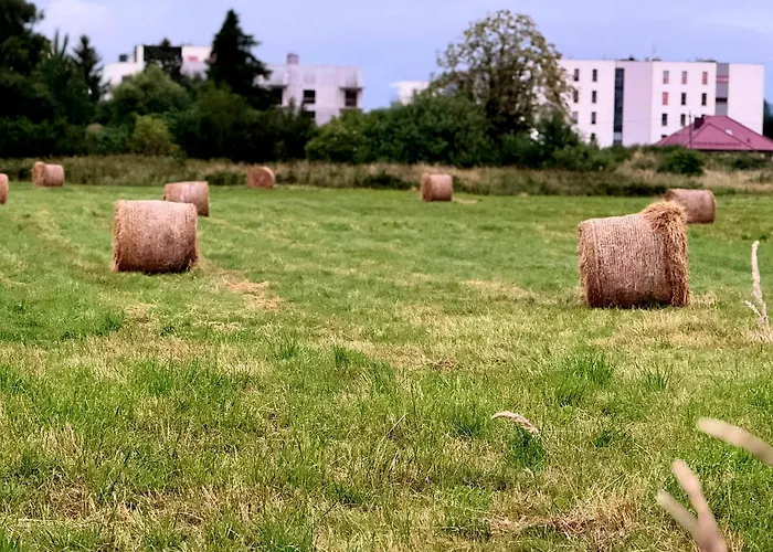 Lesna Przystan - Obok Gdyni I Aquaparku Reda * Rahmel