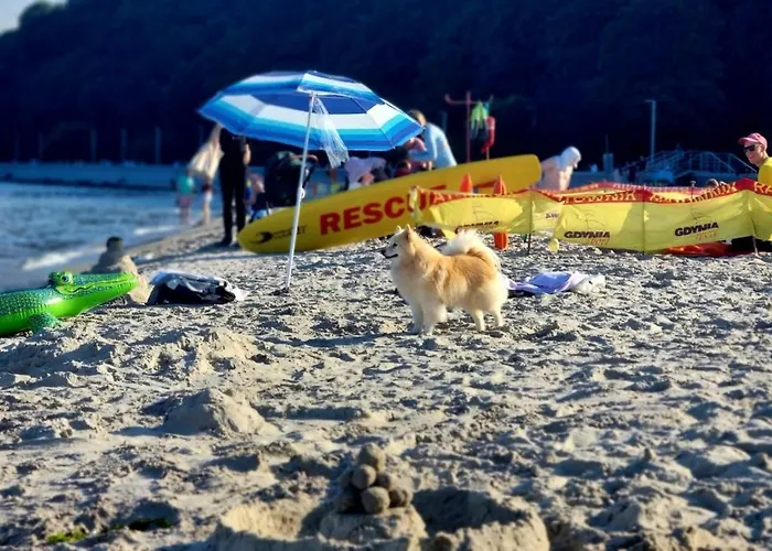 Apartment Lesna Przystan - Obok Gdyni I Aquaparku Reda *